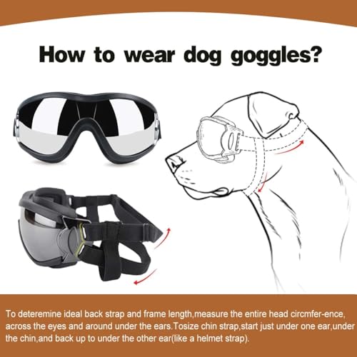 Hund Sonnenbrille Medium bis Large Hund | UV transparente Hundebrille mit verstellbarem Riemen | Winddichte Anti-Staub Schneefeste Haustier Gläser | Augenbekleidung Schutz für Reisen Skifahren