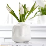 White Vases Home Decor Centerpieces Modern Boho Ceramic Set of 2 for Flowers Pampas Grass Table Mantle Kitchen(Matt White)