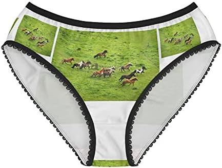 Herd Of Wild Pony Horses Panties, Herd Of Wild Pony Horses Underwear, Briefs, Cotton Briefs, Panties For Women