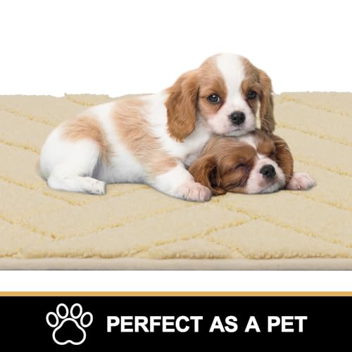 Image of hicorfe Indoor Doormat,Front Back Door Mat Rubber Backing Non Slip Door Mats 20 inchx48 inch Absorbent Resist Dirt Entrance Doormat Inside Floor Mats for Entryway Washable Low-Profile(Cream Yellow)