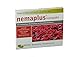 Produktbild nemaplus® kompakt SF Nematoden zur Bekämpfung von Trauermücken | 2 x 5 Mio. für 10m² Blumenerde oder 50 Pflanzen
