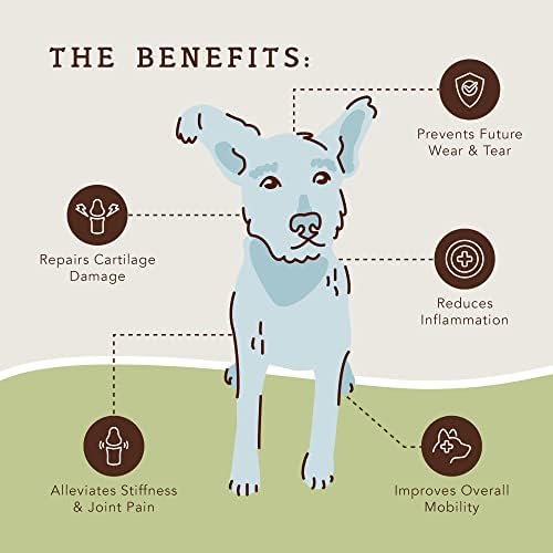 What Age Can You Give Dogs Glucosamine