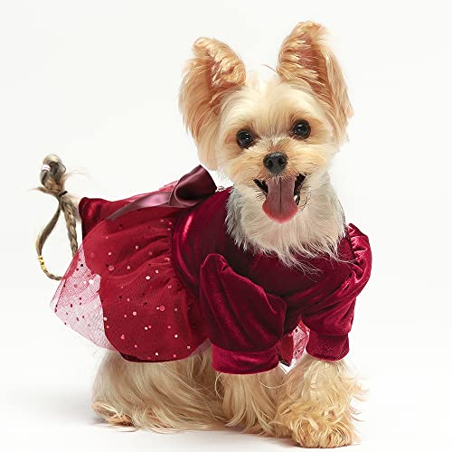 Fitwarm Fancy Dog Christmas Outfit, Dog Tulle Dress, Dog Winter Clothes For Small Dogs Girl, Cat Apparel, Lightweight Velvet, Burgundy Red, Xxs #TOP2