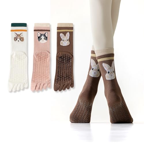 [Yazon] 5{w\bNX fB[X tH~ C ~ K seBX ܖ{w\bNXʋCz Obvt 5{wC Ȃۉ lG 3Zbg22-25cm ?