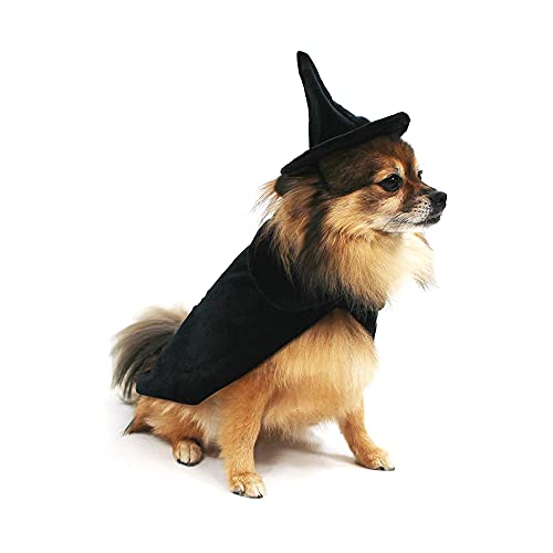 Disfraz de bruja Halloween para perro talla Large