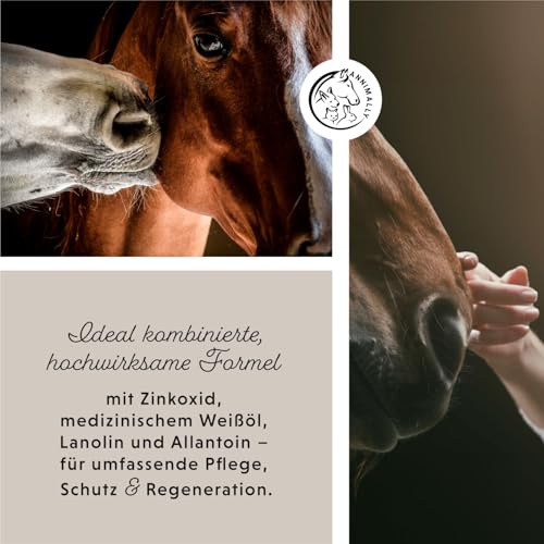 Annimally Zinkspray für Pferde 200ml - Atmungsaktive Wundabdeckung mit Zinkoxid, Lanolin & Allantoin um Abdecken von Wunden - Schutz vor Keimen & Pflege bei Ekzemen