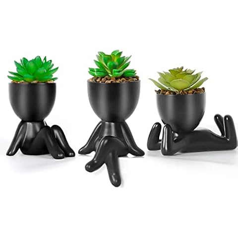 Dremisland 3 Piezas Plantas Suculentas Artificiales en Macetas de Cerámica Negra Cover