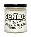 Funny Colon Rectal Surgeon Candle Evil Genius Cleverly Disguised As A Colon and Rectal Surgeon 9oz Vanilla Scented Candles Soy Wax