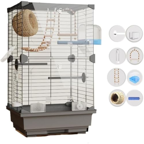 REENEW NAAN  CR ZLZCCRSUNCRIJCR Ƃ肩 CR ړp 62.5cm  P[W ^o[hQ[W  g ϋv͗DĂ܂ʋC CR IEP[W IJ u