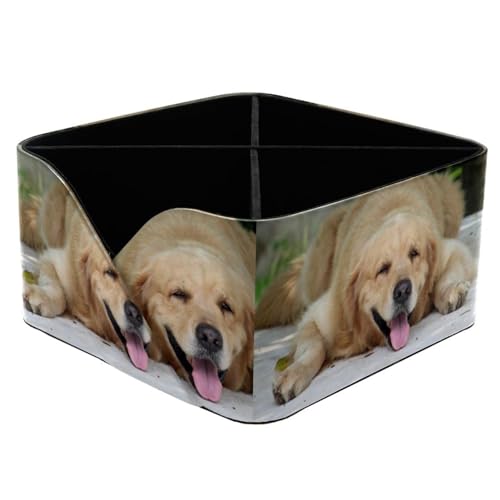 Organiseur de bureau pour chien avec 4 compartiments et porte-crayons intégré - 2