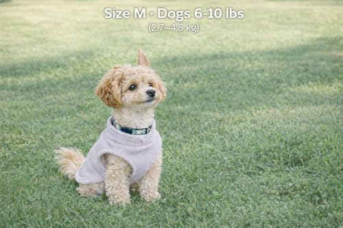 Image of JACKO & CO - Fleece Vest Dog Sweater with Leash Ring - Soft, Warm & Lightweight Pullover Coat for Small & Medium Dogs, Puppies & Cats - Cozy Fall /Winter /Spring Pet Jacket (Grey, Medium 6-10lbs)