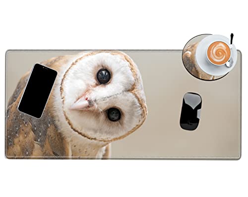Image of Large Mouse Pad 24x12 inch Desk Mats on Top of Desks Pad Gaming Mousepad Owl Long Extended Desk Protector Mat Big Laptop Mat for Wireless Mouse Non Slip Work Computer