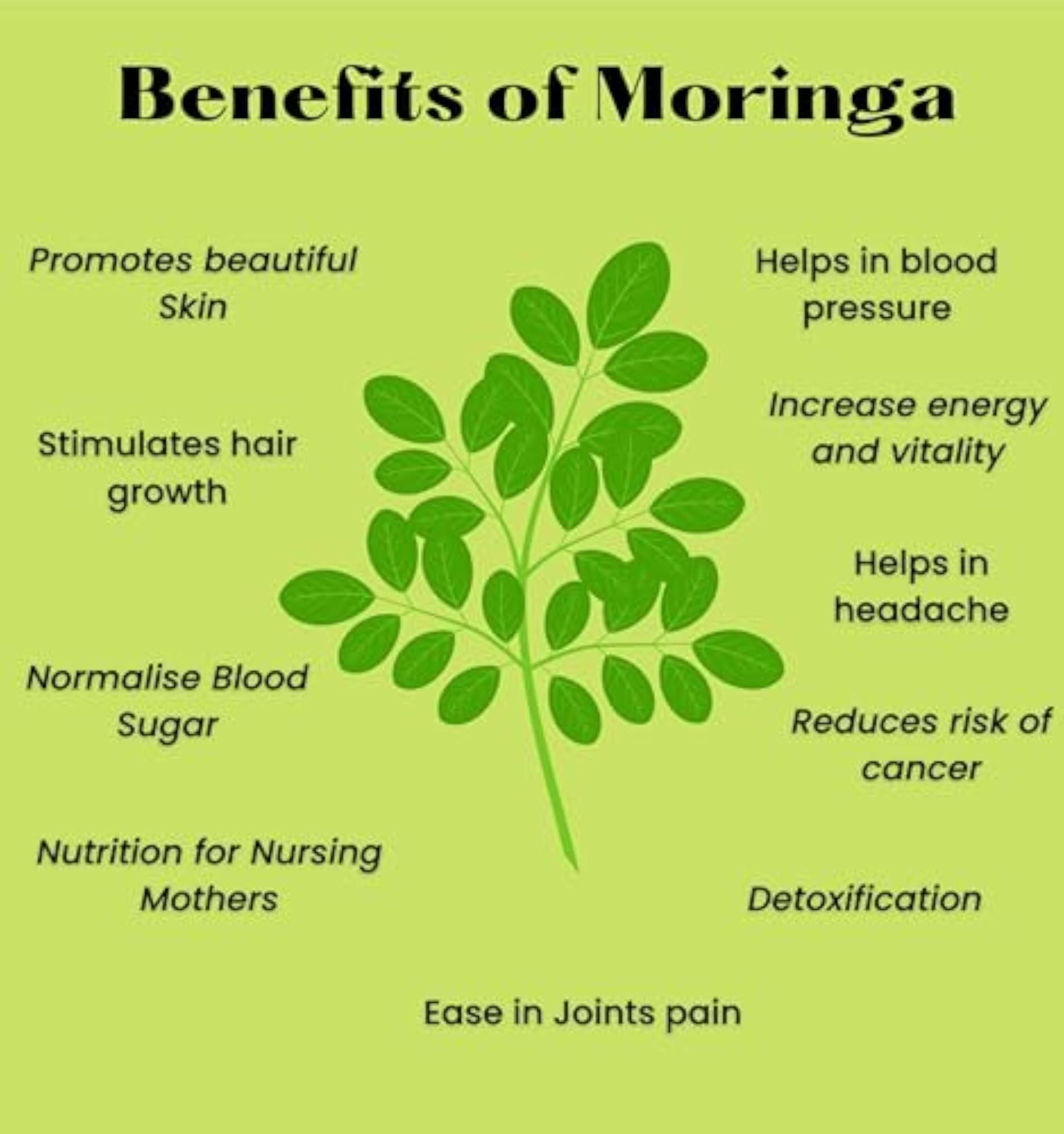 Organic Moringa Leaf Powder, 125g, Natural Multi-Vitamin