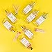 Chez Gagné Premium Safety Matches - 40 Matches in Glass Bottle with Gold Lid, Colorful Tips, Striker on Bottle, Decorative Matches for Candles, Home Decor (Let's F*cking Party - Coral)