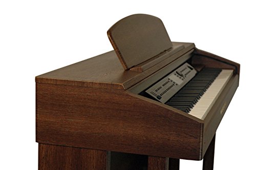 Suzuki Musical Instrument Corporation, 88-Key Acoustic Piano (Ctp-88) #TOP2