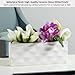 Torre & Tagus 12-Inch Wide Wavy Long Rectangular Vase for Flowers, White Rectangle Vase Succulent Holder & Slim Decorative Pot for Narrow Shelves, Rectangle Flower Vases for Home Or Wedding (Ripple)