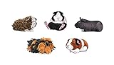 WIRESTER Decal Vinyl Wall Stickers Decoration for Home Office Living Room Wall Bathroom, 5 Guinea Pigs - Set B (Skinny, Texel, Tortoiseshell Sheba, Dutch, American Guinea Pig)