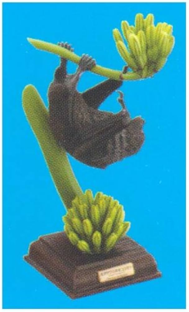 Amazon.co.jp: ネイチャーテクニカラー 小笠原 世界自然遺産 小笠原