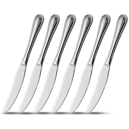 6-Piece Dinner Knives Set with Hollow Handle Table Knife Flatware Stainless Steel Mirror Polishing 9-Inch Silver Round