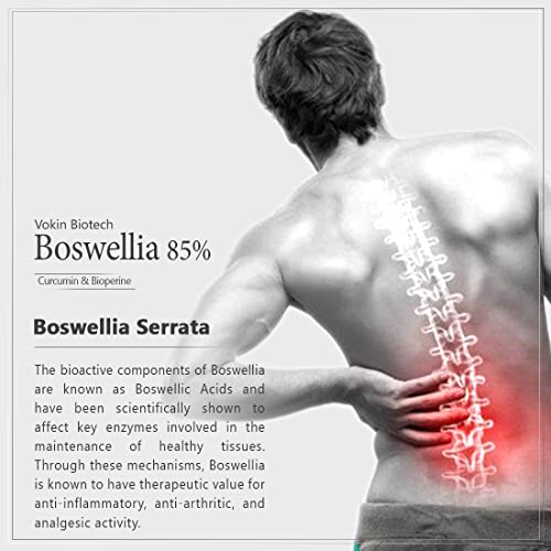 Image of Vokin Biotech Boswellia Serrata and Curcumin with Bioperine - 90 Capsules (Pack of 1)