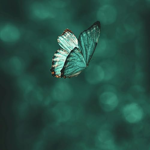 Ep. 408: Career Transitions With Laverne McKinnon Podcast Por  arte de portada