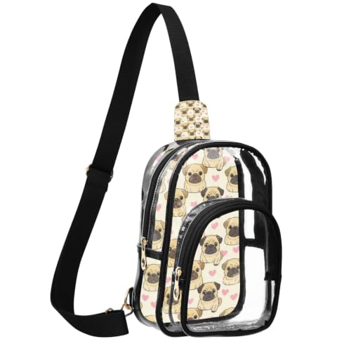 Bolso cruzado transparente linqin antirrayaduras para pasar controles sin esperas 2