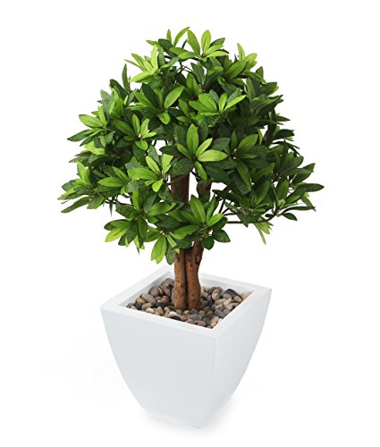 Closer 2 Nature p079d fiori artificiali japanishe attacco Same, 50 cm, Verde