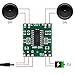 2pcs 3 W 8 Ohm Mini Speaker JST-PH2.0mm 2 pin Interface with Mini PAM8403 DC 5V Audio Amplifier Digital Power Module 3W+3W