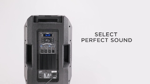 ION Audio Total PA Premier 15-Inch 500-Watt Bluetooth - Foto 7