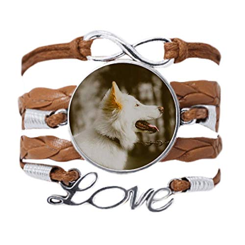 Bracelet chien blanc en cadeau original, la corde tressée en cuir noir à offrir