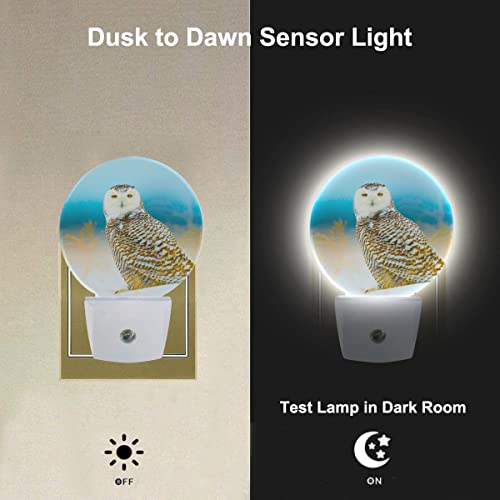 Image of Snowy Owl Night Lights Plug into Wall Bird in Wild LED Dusk to Dawn Plug-in Nightlight Auto Sensor for Bedroom Bathroom Hallway Living Room