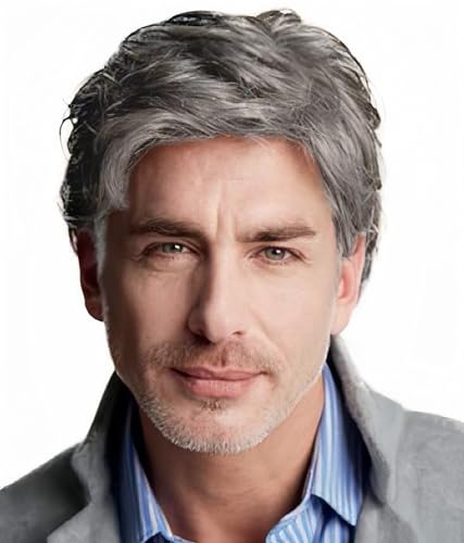 Dai Cloud Grey Mens Wig Short Side Part Natural Hair Wig for Men Fluffy Synthetic Heat Resistant Halloween Cosplay Wigs