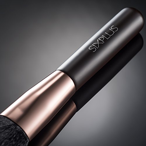 SIXPLUS 15Pcs Coffee Makeup Brush Set with Makeup Holder (Coffee)