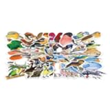 100PCS Bird Stickers, Cute Cartoon Birds Decals Vinyl Waterproof Stickers for Water Bottle Laptop Luggage Helmet Skateboard Snowboard Guitar Scrapbook Phone Gifts for Teens Girls Kids Adult