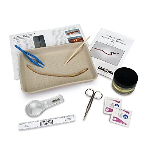 Carolina's® Young Scientist™ Earthworm Dissection Kit, Materials For 1-2 Students