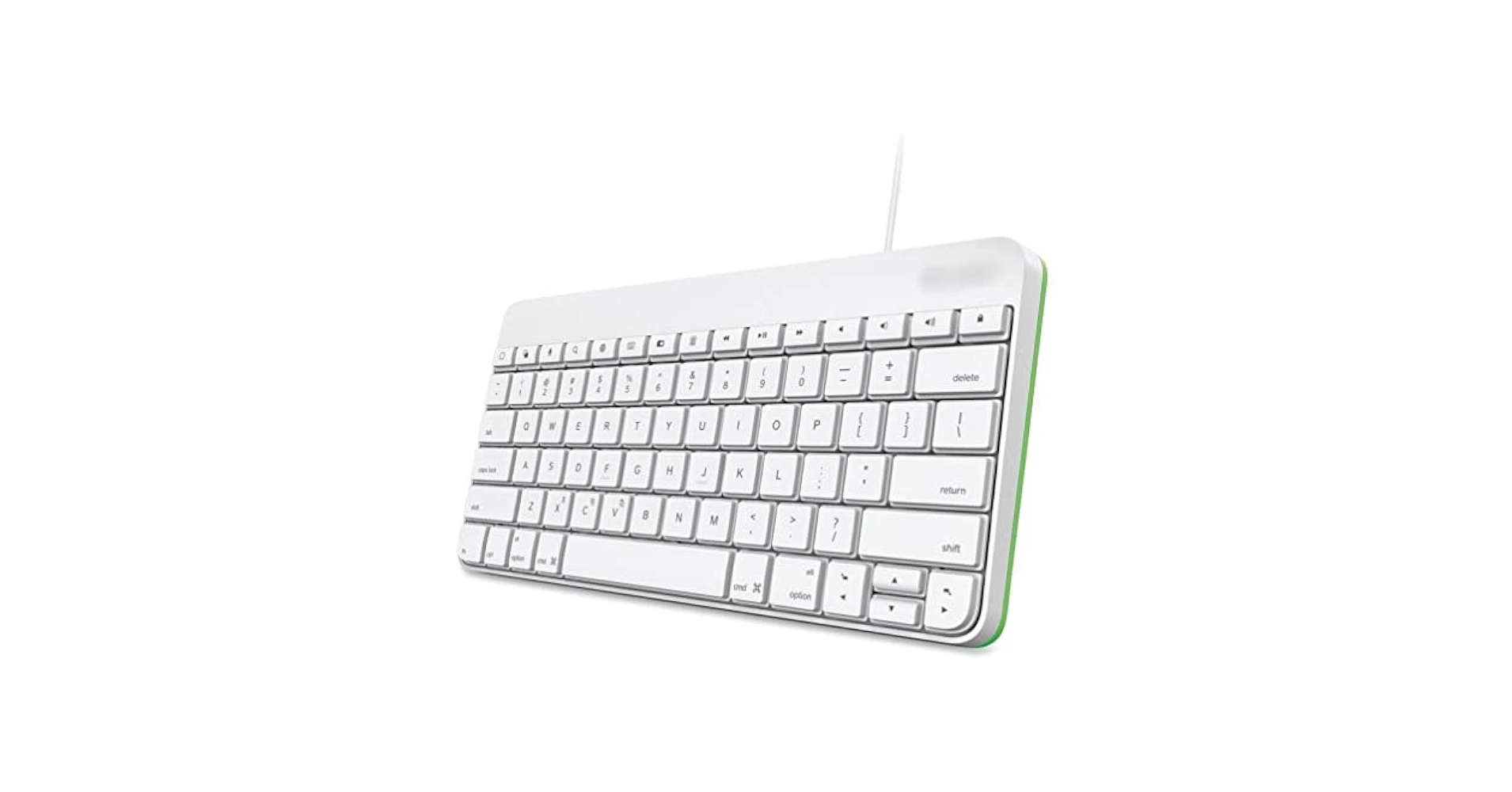 Amazon.com: LOGITECH 920-005843 / Wired Keyboard for iPad