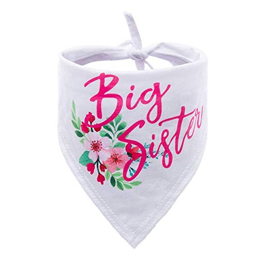 HDGDT Big Sister Dog Bandana, Pregnancy Announcement Dog Bandana, Gender Reveal Photo Prop