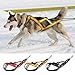 IIJIJO Dog Sledding Harness,Dog Sled Harness Pet Weight Pulling Sledding Harness Mushing X Back Harness for Large Dogs Husky Canicross Skijoring Scootering(Red,M)(Red,X-Large)