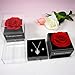 Imagen de Miofula Rosa Eterna Regalos Originales para Mujer