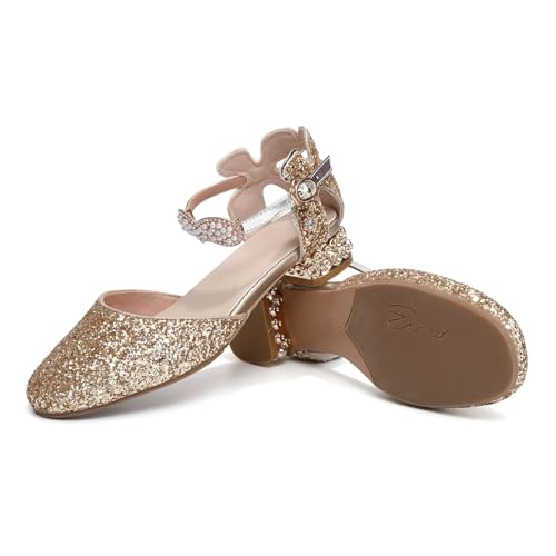 AOQUNFS Girls Dress Shoes Sequin Latin Ballroom Dance Shoes Mary Jane Low Heels Wedding Party Sandals,DS-633