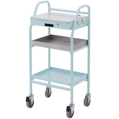 ロアス 電子カルテワゴン ブルー RKW-201BL