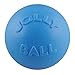 Jolly Pets Bounce-N-Play Ball