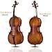 Doredo 4/4 Acoustic Cello Kit for Adults, Beginners,Complete Full Size Cello Set with Portable Bag, Bow, Rosin,Matte Natural