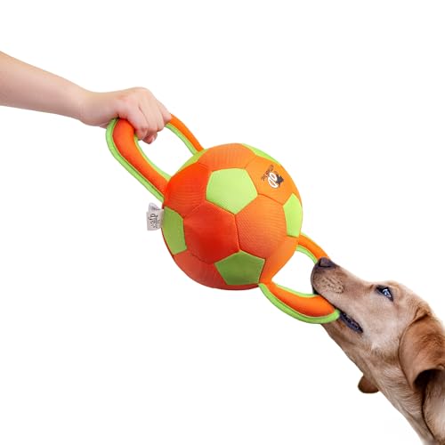 ALL FOR PAWS Handle Ball - Haltbares Hundespielzeug mit Quietscher, Hartes Hundespielzeug für aggressiv beißende Hunde, interaktives Spielzeug, Farbauswahl