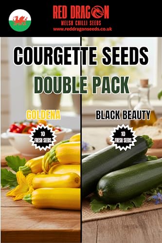 Courgette Double Pack Seeds Goldena & Black Beauty Yellow & Green Courgettes Easy to Grow High Yielding - 20 Seeds.