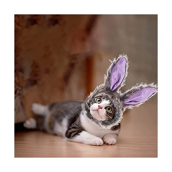 Greus cute bunny rabbit hat with ears halloween pet costume for cats small dogs plush easter party costume dress up accessory headwear headgear wig costume - image 4