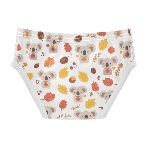 Wusikd Koala Bear Boys' Underwear Cotton Autumn Leaves Boys Briefs Soft Toddler Underwear 2T2