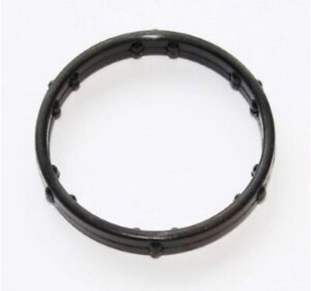 1 PACK# Seal Ring 95810651901
