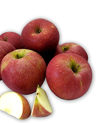 Kauffman Orchards Fresh Stayman Apples, Hand-Picked, Heirloom Apples, Box of