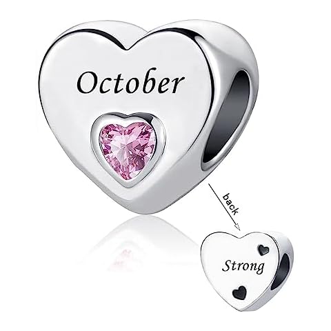 DWJSu Silver Heart October Birth Stone Friendship Charm for Pandora Bracelet Birthday Birthstone Bead Love Fmaily Mom Grandma Charms Cover